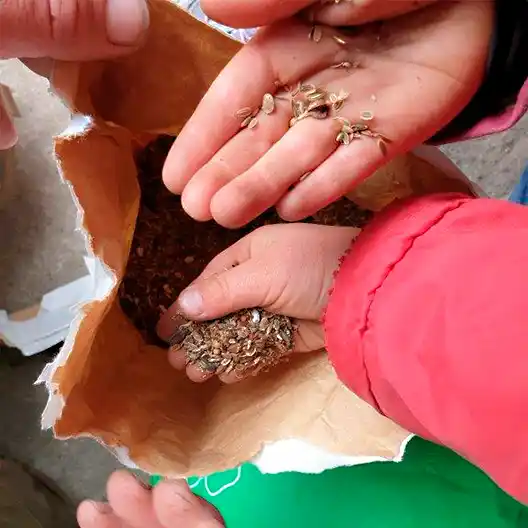 Viele Hände greifen in ene Tüte mit Körnern
